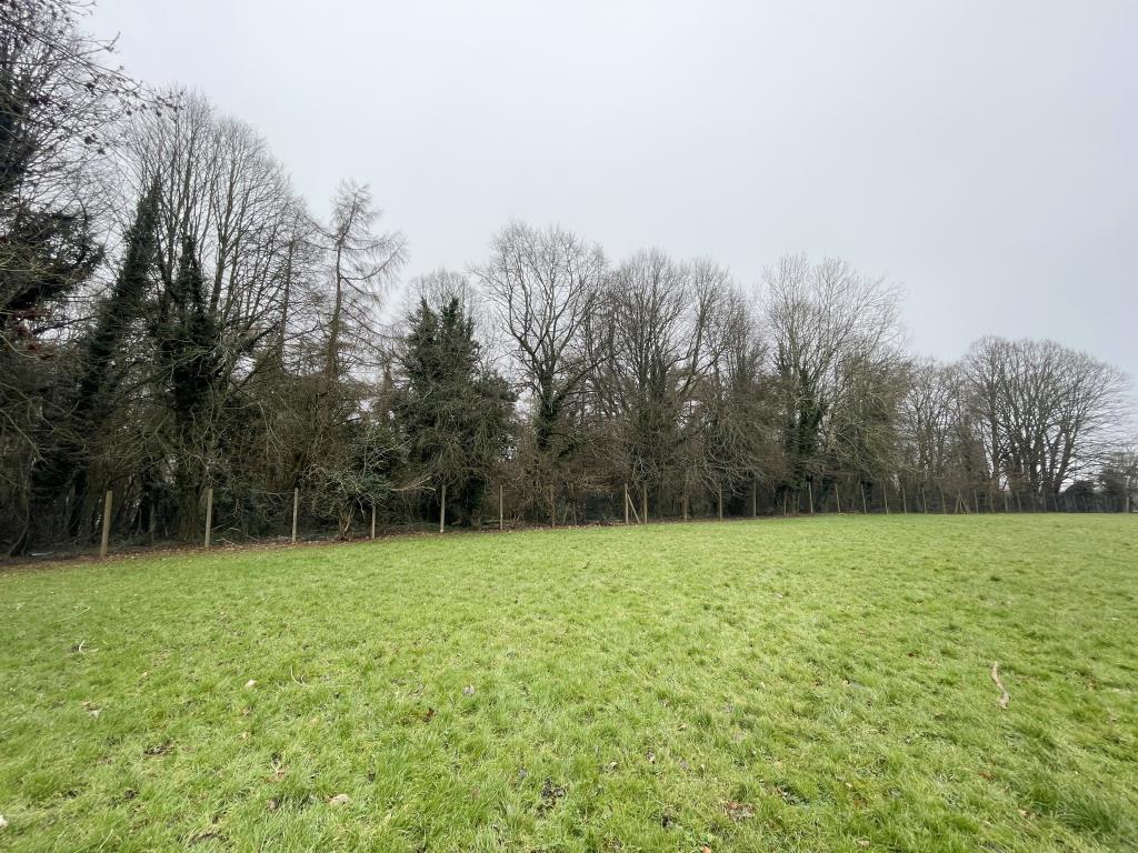 Lot: 44 - WOODLAND EXTENDING TO OVER THREE ACRES - Outside image of boundary from opposite end to picnic area
